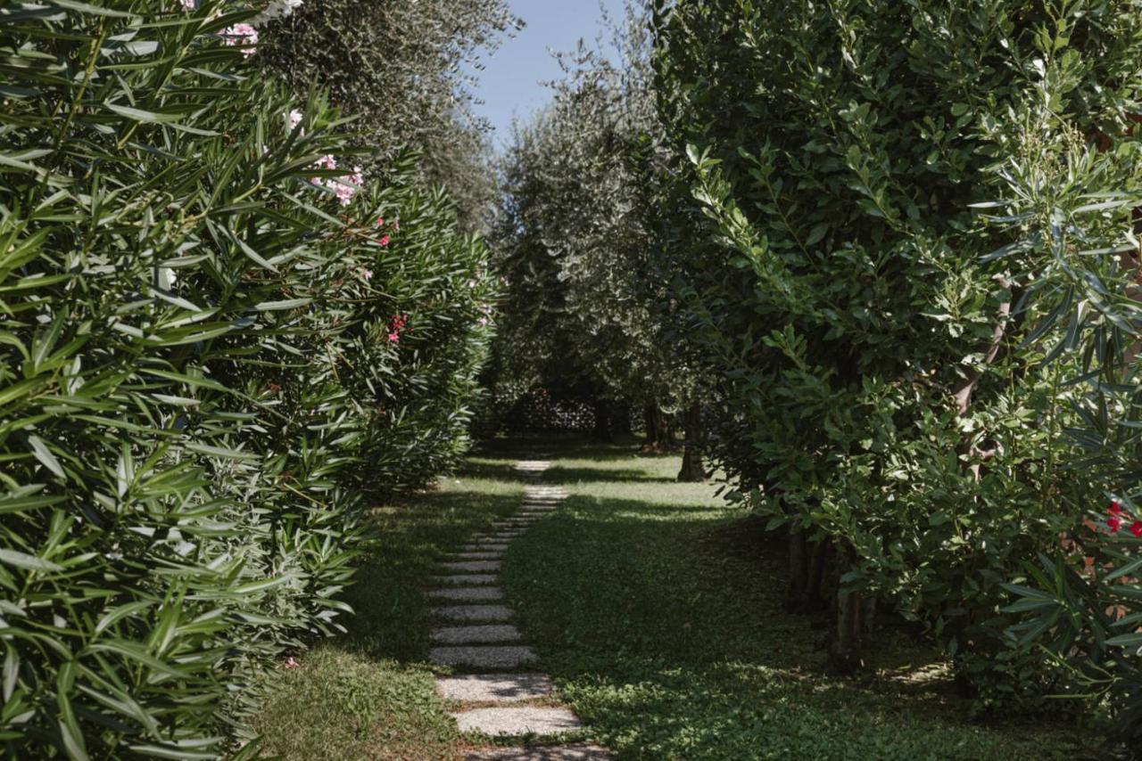 App. Mimosa Minerva Holiday Home Manerba del Garda Exterior foto